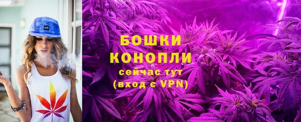 МДПВ Бугульма