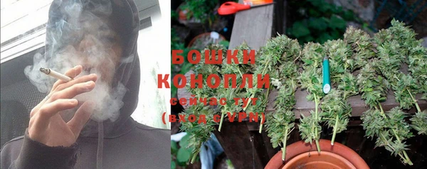 прущие грибы Богородицк
