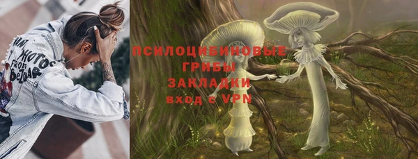 прущие грибы Богородицк