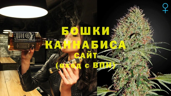 прущие грибы Богородицк