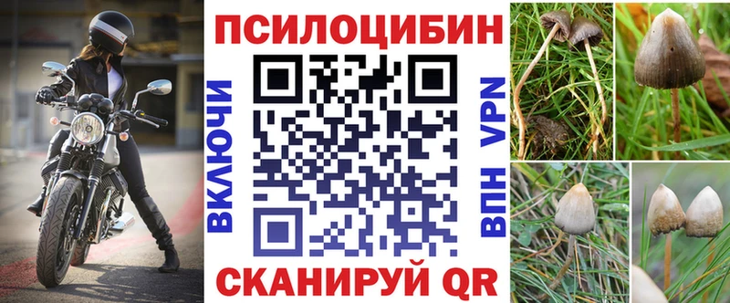 Псилоцибиновые грибы мицелий  Сретенск 