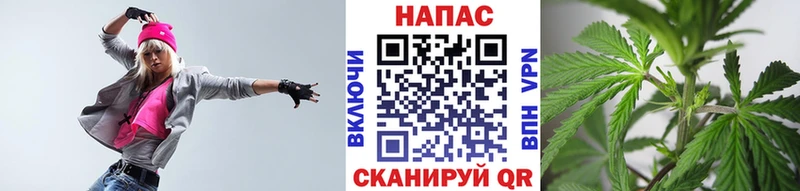 Шишки марихуана Bruce Banner  нарко площадка официальный сайт  Сретенск 